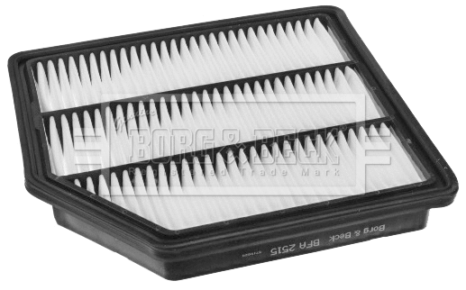 Air Filter (BFA2515)