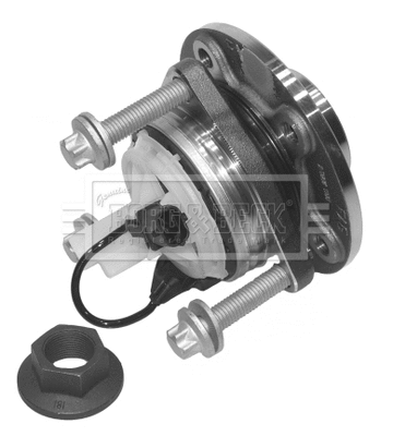 Wheel Bearing Kit (BWK976)