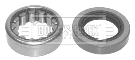 Wheel Bearing Kit (BWK742)