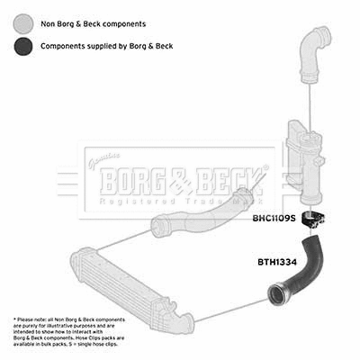 Charge Air Hose (BTH1334)