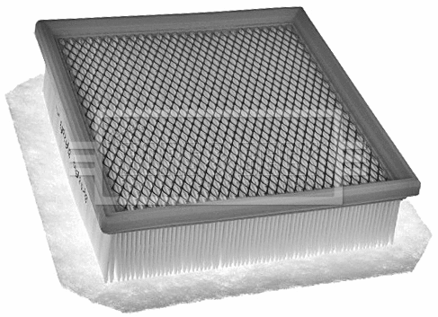 Air Filter (BFA2383)