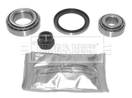 Wheel Bearing Kit (BWK550)
