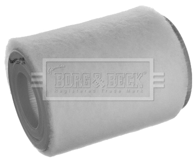 Air Filter (BFA2499)