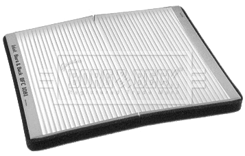 Filter, cabin air (BFC1081)