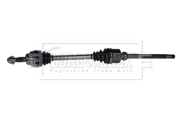 Drive Shaft (BDS1131)