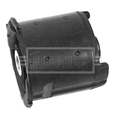 Bushing, axle bracket (BSM2002)