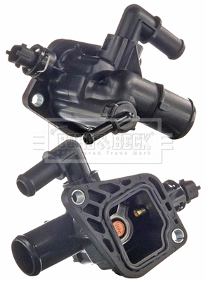 Thermostat, coolant (BBT500)
