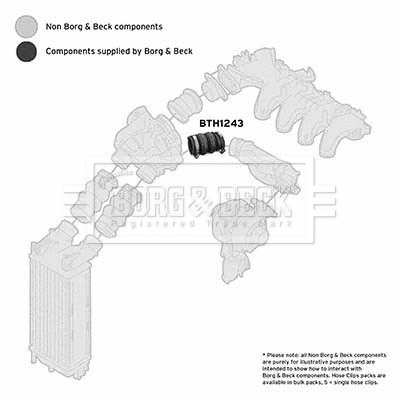 Charge Air Hose (BTH1243)