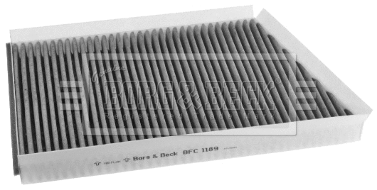 Filter, cabin air (BFC1189)