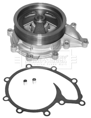 Water Pump, engine cooling (BWP32707)