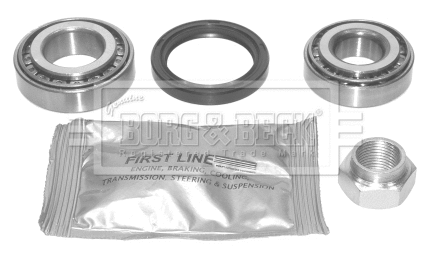 Wheel Bearing Kit (BWK154)