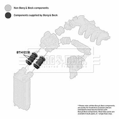Charge Air Hose (BTH1228)