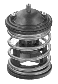 Thermostat, coolant (BBT446)