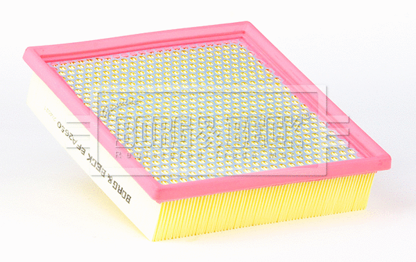 Air Filter (BFA2650)