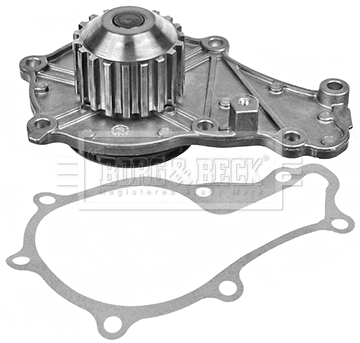 Water Pump, engine cooling (BWP2043)