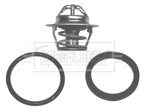 Thermostat, coolant (BBT040)