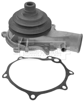 Water Pump, engine cooling (BWP1348)