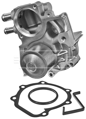 Water Pump, engine cooling (BWP2365)