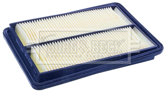 Air Filter (BFA2549)
