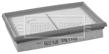 Air Filter (BFA2139)