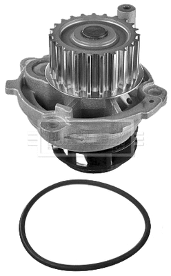 Water Pump, engine cooling (BWP2029)