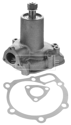 Water Pump, engine cooling (BWP32698)