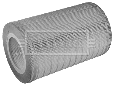 Air Filter (BFA2352)