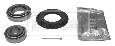Wheel Bearing Kit (BWK101)