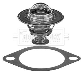 Thermostat, coolant (BBT355)