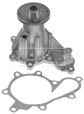 Water Pump, engine cooling (BWP2155)