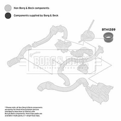 Charge Air Hose (BTH1289)