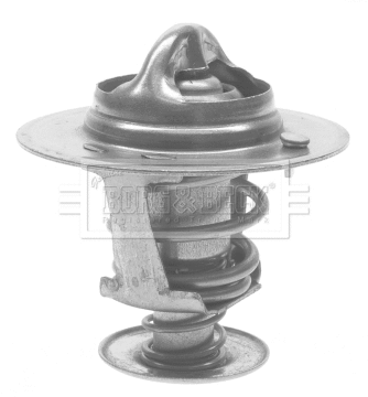 Thermostat, coolant (BTS233.77)