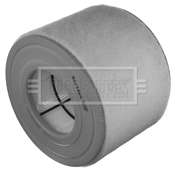 Air Filter (BFA2359)