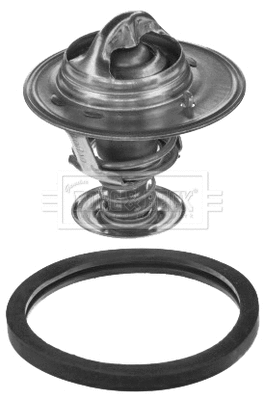 Thermostat, coolant (BBT033)