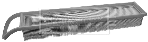 Air Filter (BFA2053)