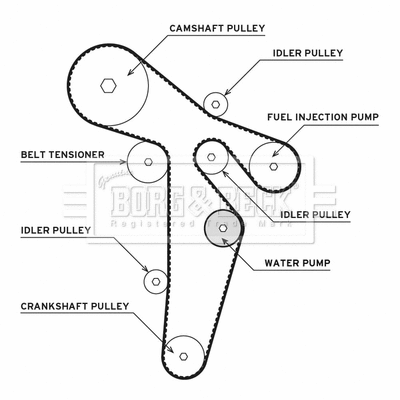 Water Pump & Timing Belt Kit (BTW1035)