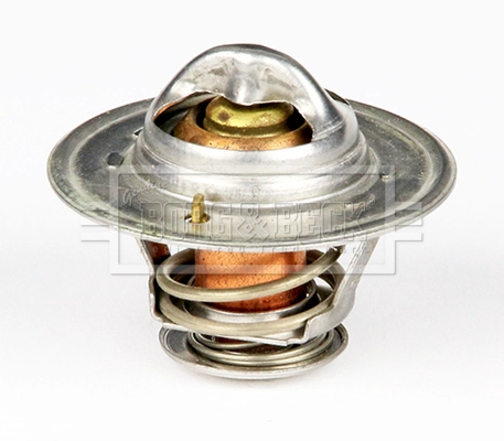 Thermostat, coolant (BTS151.79)