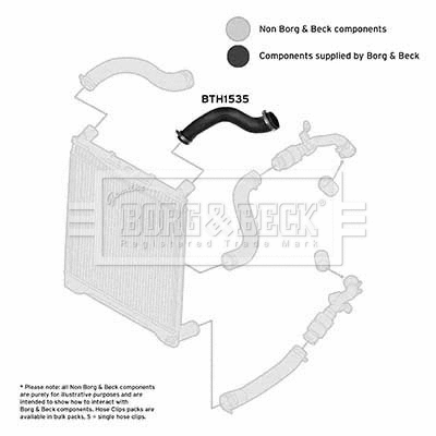 Charge Air Hose (BTH1535)