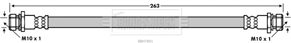 Brake Hose (BBH7801)