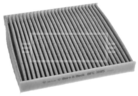 Filter, cabin air (BFC1195)