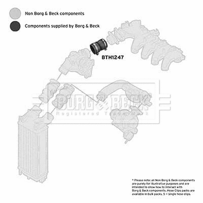 Charge Air Hose (BTH1247)