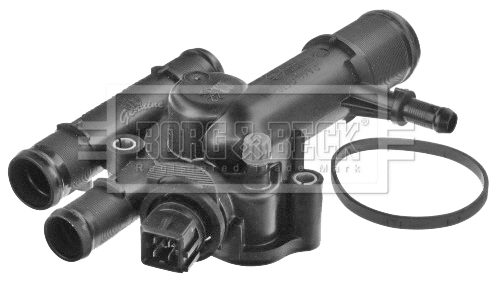 Thermostat, coolant (BBT295)