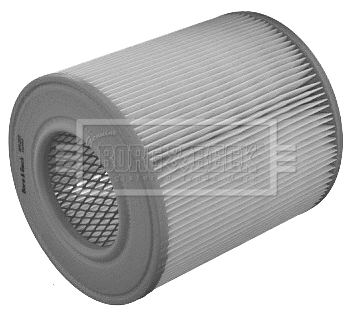 Air Filter (BFA2122)