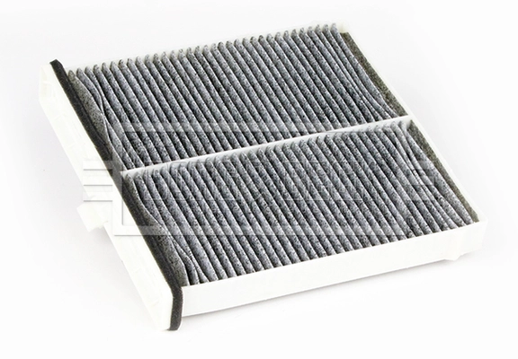 Filter, cabin air (BFC1348)