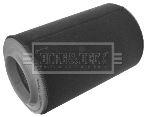 Air Filter (BFA2466)