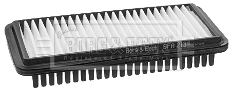 Air Filter (BFA2134)