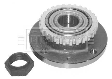 Wheel Bearing Kit (BWK491)