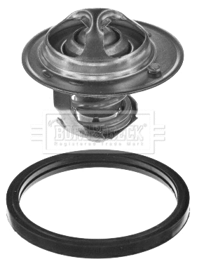 Thermostat, coolant (BBT178)