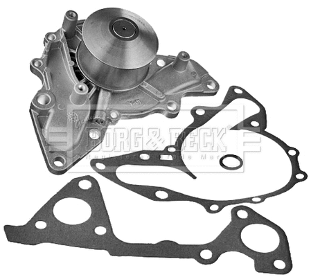 Water Pump, engine cooling (BWP2169)