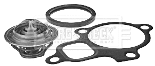 Thermostat, coolant (BBT199)